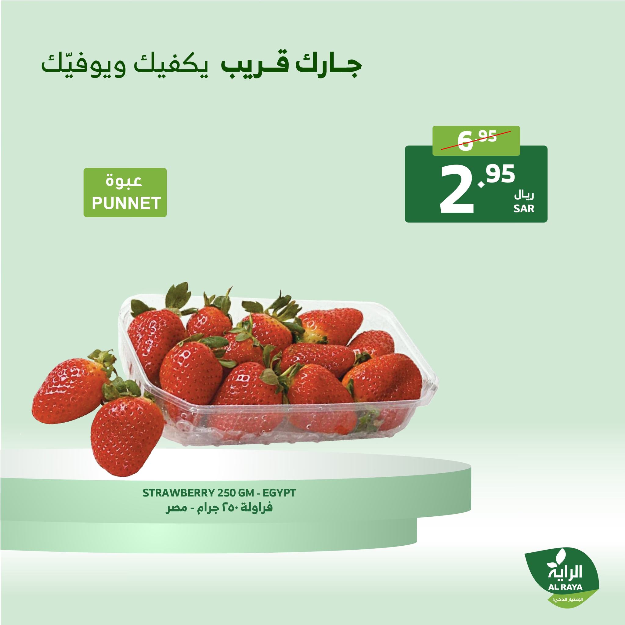 alraya offers from 19dec to 21dec 2024 عروض الراية من 19 ديسمبر حتى 21 ديسمبر 2024 صفحة رقم 27